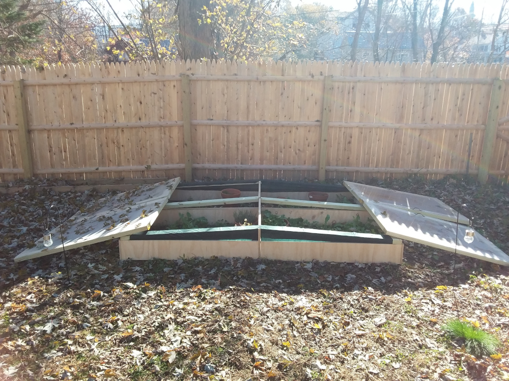 Cold frame open